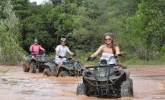 Chiang Rai Half-Day Small Group Highlights Tour - Bike Tours