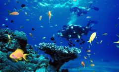 Full-Day Racha Yai Private Scuba Diving Course from Phuket - Scuba Diving