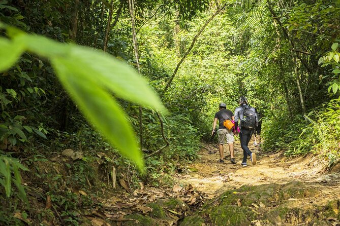 Phuket Khao Phra Taew Jungle Trekking Tour - Nature and Wildlife