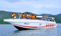 Phuket to Koh Phi Phi by Satun Pakbara Speed Boat - Speed Boat Rentals