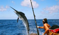 Phuket - Game Fishing Day Trip - Day Trips