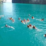 Half Day Tour to Phi Phi Islands - Half-day Tours