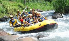 Phuket Small-Group Rafting and Jungle Tour - White Water Rafting