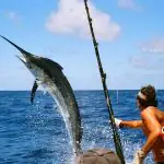 Big Game Fishing Full-Day Tour - Full-day Tours Big Game Fishing Full-Day Tour - Full-day Tours