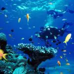 Full-Day Racha Yai Private Scuba Diving Course from Phuket - Scuba Diving Full-Day Racha Yai Private Scuba Diving Course from Phuket - Scuba Diving