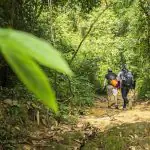 Phuket Khao Phra Taew Jungle Trekking Tour - Nature and Wildlife Phuket Khao Phra Taew Jungle Trekking Tour - Nature and Wildlife